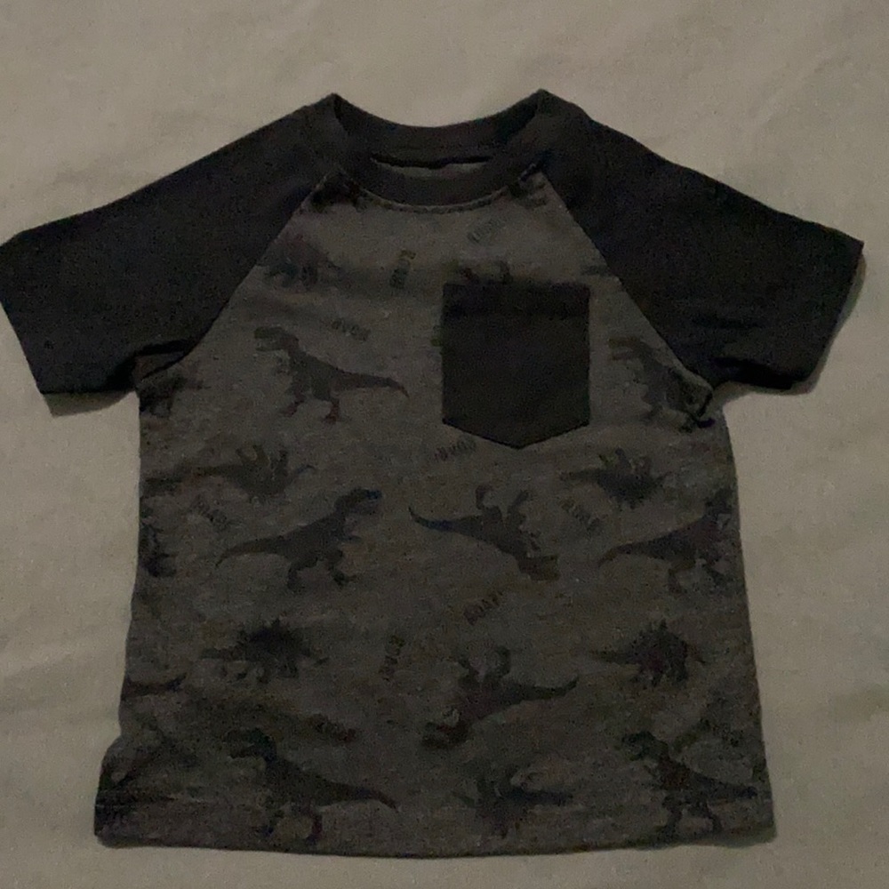 Dinosaurs T shirt